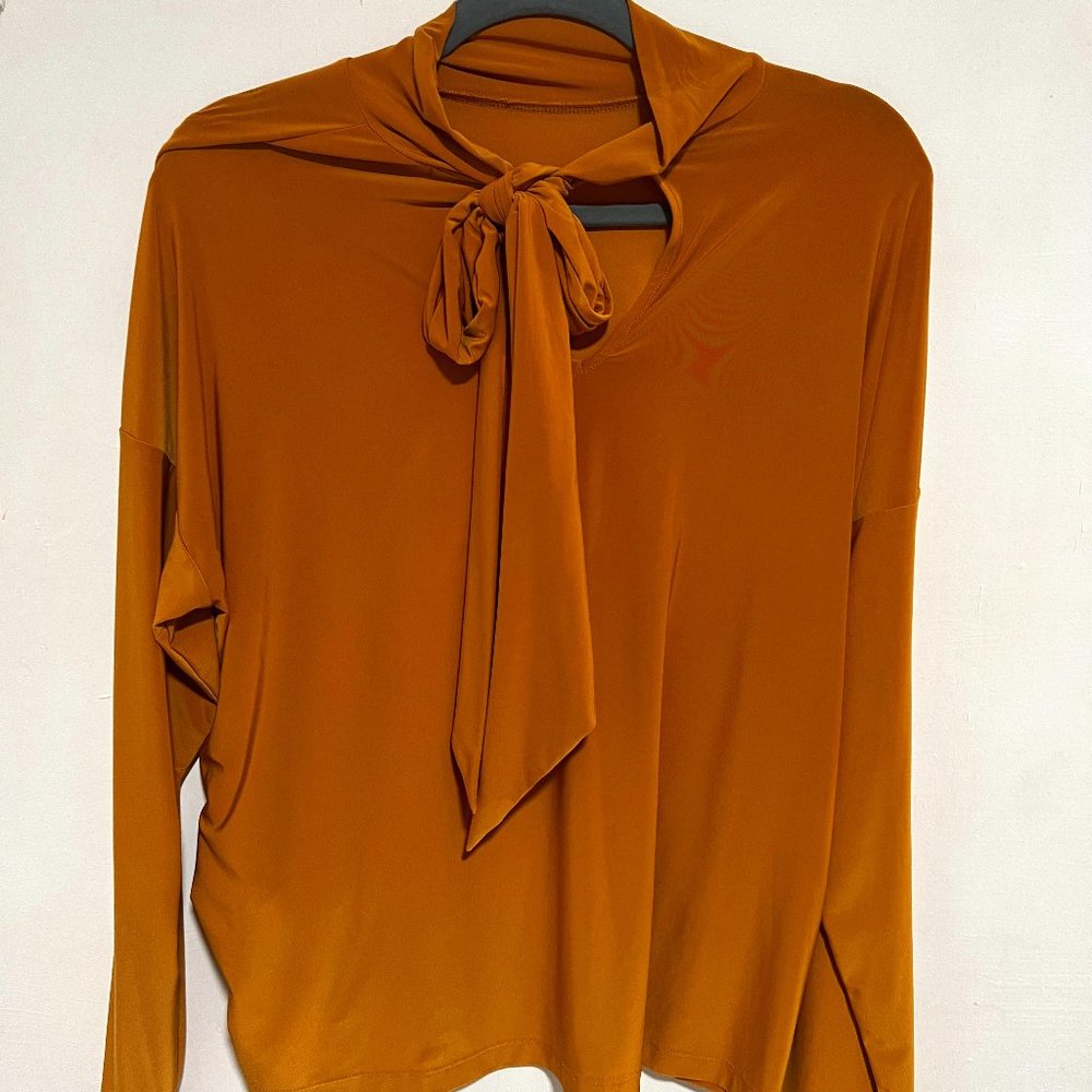 Reversible Burnt Orange Blouse